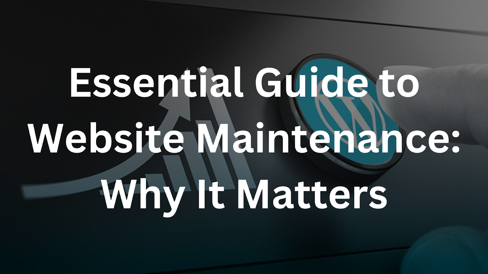 Essential Guide to Website Maintenance: Why It Matters